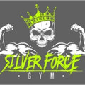 Imagen de perfil del partner Silver Force Gym