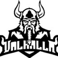 Imagen de perfil del partner Valhalla Gimnasio