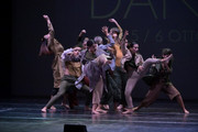 Immagine del profilo del partner Officine della danza