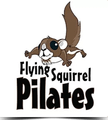 Flying Squirrel Pilates Partner profile image