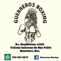 Imagen de perfil del partner Guerreiros Boxing