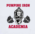 Imagem de perfil do parceiro Pumping Iron Academia