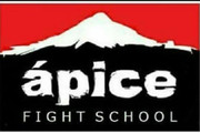 Imagem de perfil do parceiro Ápice Fight School