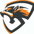 Imagen de perfil del partner Cougar