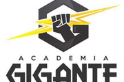 Imagem de perfil do parceiro Academia Gigante