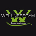 Imagen de perfil del partner Gimnasio Wellnessgym Pilares