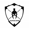 Imagen de perfil del partner Alpha gym