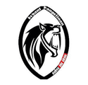 Sabre Jiu Jitsu Academy Partner profile image