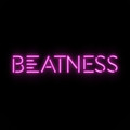 Imagen de perfil del partner Beatness Bootcamp - Polanco