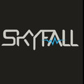 Imagen de perfil del partner Skyfall Gym