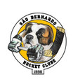 Imagem de perfil do parceiro São Bernardo Hockey Clube