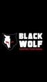 Imagem de perfil do parceiro Black Wolf Centro Funcional