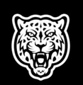 Imagem de perfil do parceiro Box Jaguar