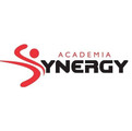 Imagem de perfil do parceiro Academia Synergy