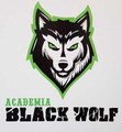 Imagem de perfil do parceiro Academia Black Wolf