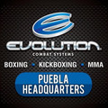 Imagen de perfil del partner Evolution Combat Systems - Puebla Headquarters