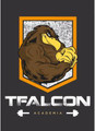 Imagem de perfil do parceiro TFalcon Academia