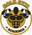 Imagem de perfil do parceiro Academia Gold Gym