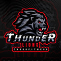 Imagen de perfil del partner Thunder Lions CF