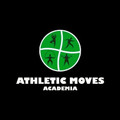 Imagem de perfil do parceiro Athletic Moves Academia