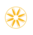 The Handle Bar - Harvard Square Partner profile image