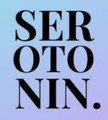 Imagen de perfil del partner Serotonin Studio