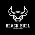 Imagen de perfil del partner Black Bull elite fitness