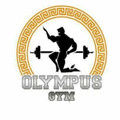 Imagen de perfil del partner Olympus gym