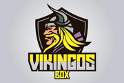 Imagen de perfil del partner Vikingos Box