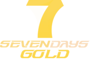 Imagen de perfil del partner Seven Days Gold - Zaragoza Express