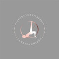 Imagem de perfil do parceiro Studio de Pilates Vanessa Chiréa