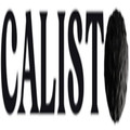 Imagen de perfil del partner Calisto