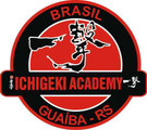 Imagem de perfil do parceiro Ichigeki Academy