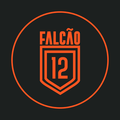 Imagem de perfil do parceiro Centro De Treinamento Falcao 12 Unidade Três Lagoas
