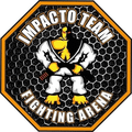 Imagem de perfil do parceiro Impacto Team