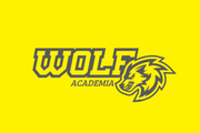 Imagem de perfil do parceiro Wolf Academia