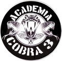 Imagem de perfil do parceiro Academia Cobra3