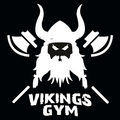 Imagen de perfil del partner Vikings GYM