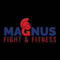 Imagen de perfil del partner Magnus Fight & Fitness