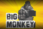 Imagem de perfil do parceiro Big Monkey