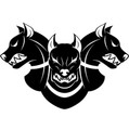 Imagen de perfil del partner Cerbero Centro