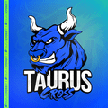 Imagem de perfil do parceiro Taurus Cross