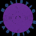 Holistic Labyrinth partner profile image