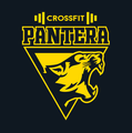 Imagem de perfil do parceiro Pantera Crossfit