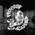 Imagem de perfil do parceiro Provigor Academia