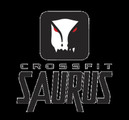 Imagem de perfil do parceiro Crossfit Saurus - Analia Franco