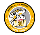 Imagen de perfil del partner JAGUAR BOX