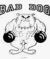 Imagem de perfil do parceiro Bad Dog