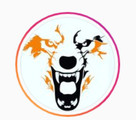 Imagem de perfil do parceiro CT Alcateia
