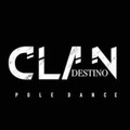 Imagen de perfil del partner Clandestino Pole Dance